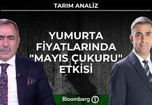 Tarım Analiz – Yumurta Fiyatlarında “Mayıs Çukuru” Etkisi | 6 Mayıs 2026 www.bloomberght.com