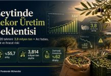 Zeytinde rekor üretime hazır mısınız ? Ali Ekber Yıldırım