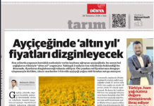 Ayçiçeğinde ‘altın yıl’ fiyatları dizginleyecek